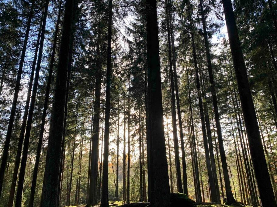 Panoramavy Naera Gbg Och Natur Olofstorp Eksteriør billede