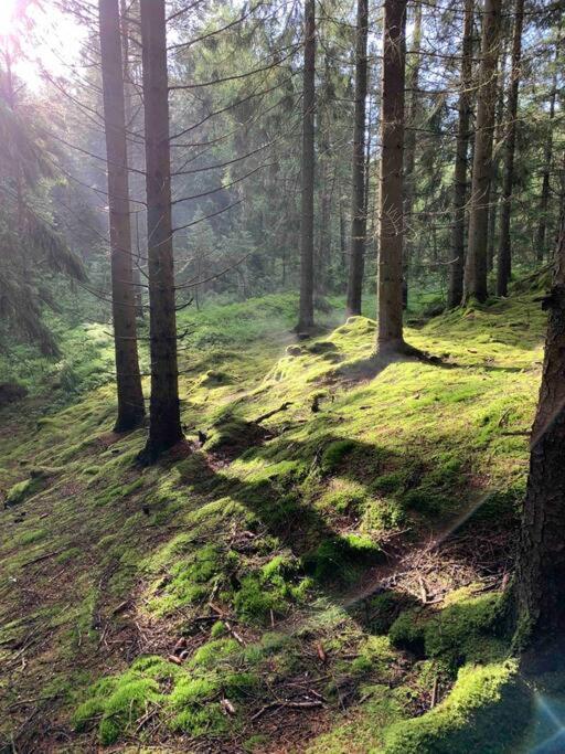 Panoramavy Naera Gbg Och Natur Olofstorp Eksteriør billede